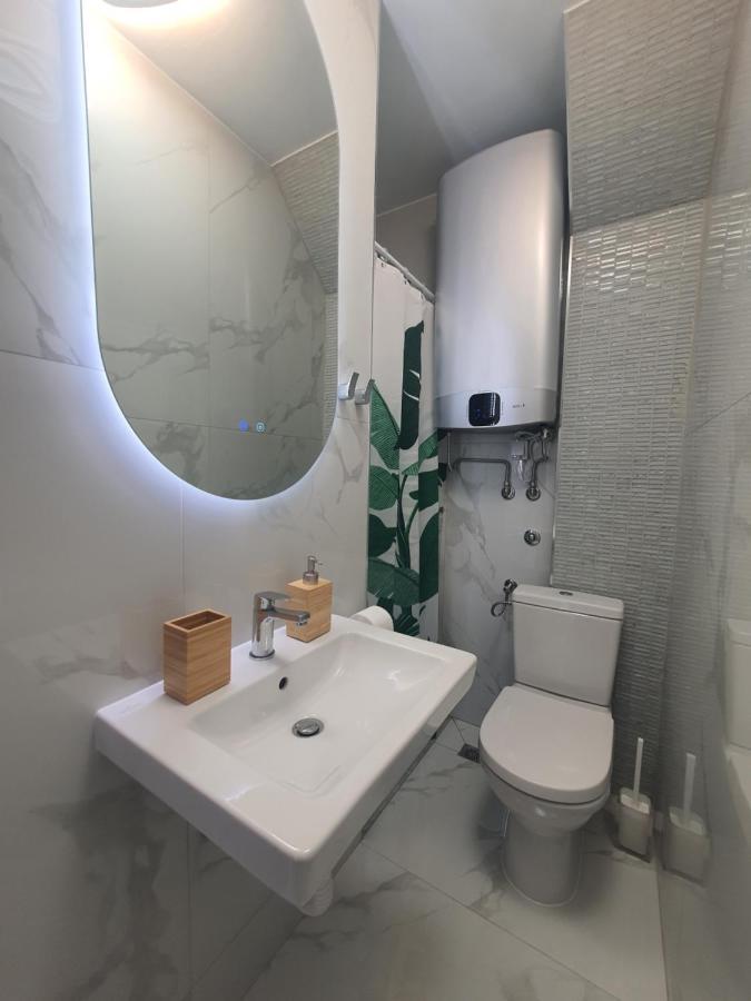 Centar Ii Apartment Negotin