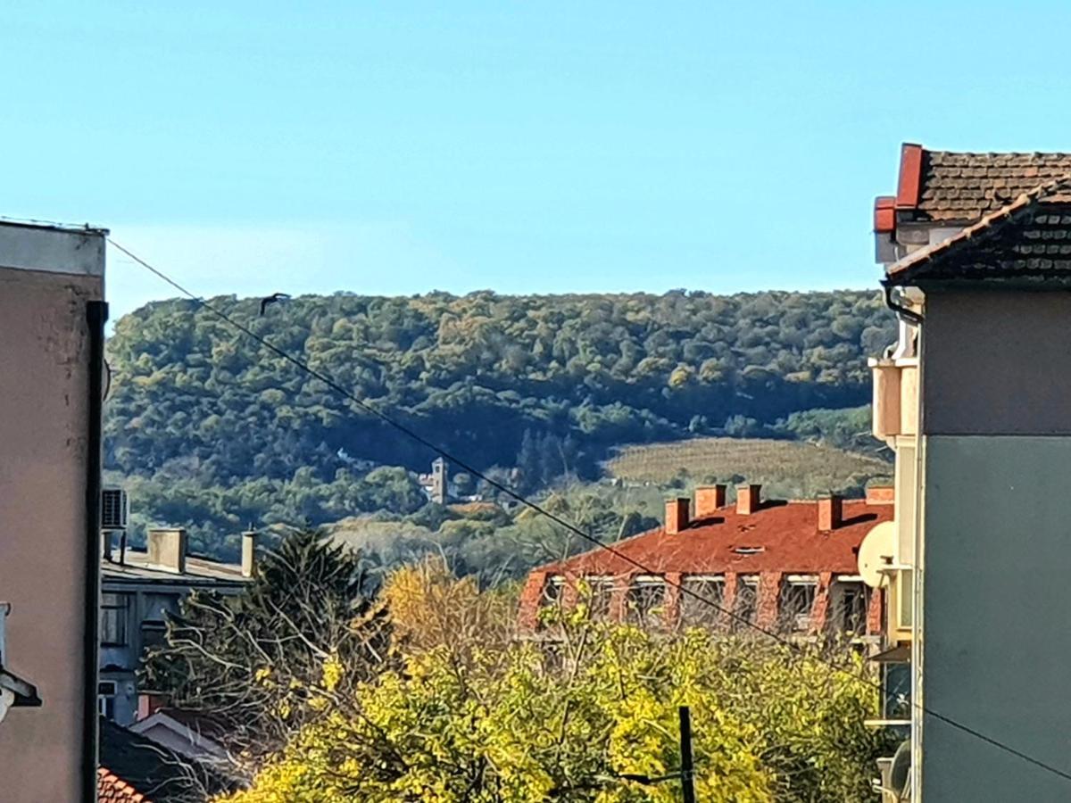 Centar Ii Negotin