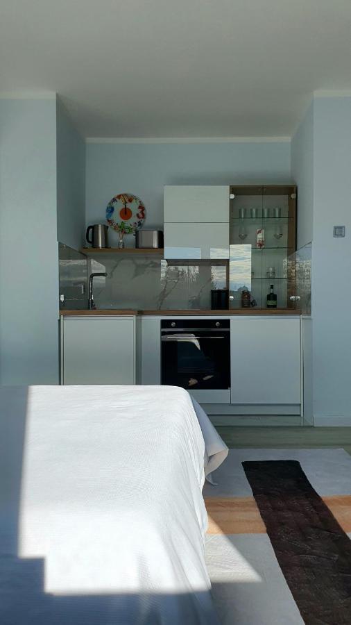 Centar Ii Apartment Negotin